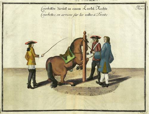 Reitschule - William Cavendish - William Cavendish - Courbetten zurück in einem Circkel Rechts