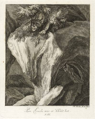 Raubkatzen - Luchse. - Witternder Luchs - Luchse. - Witternder Luchs - Ein Luchs wie er Wind hat