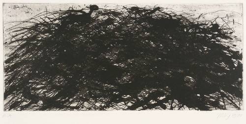 Uhlig, Max -  -  - Gebüsch - Mecklenburg