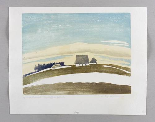 Buchwald-Zinnwald, Erich -  -  - Schneereste in Zinnwald