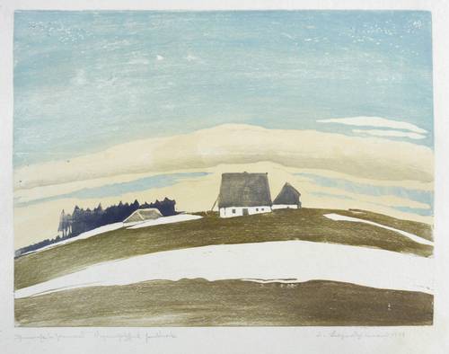 Buchwald-Zinnwald, Erich -  -  - Schneereste in Zinnwald