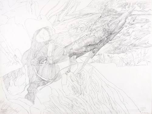 Hachulla, Ulrich -  -  - Baumstück. Neukloster