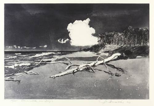 Werkmeister, Wolfgang -  -  - Traumwolke am Darß