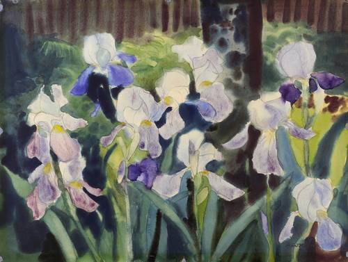 Hesse, Alfred -  -  - Schwertlilien im Vorgarten