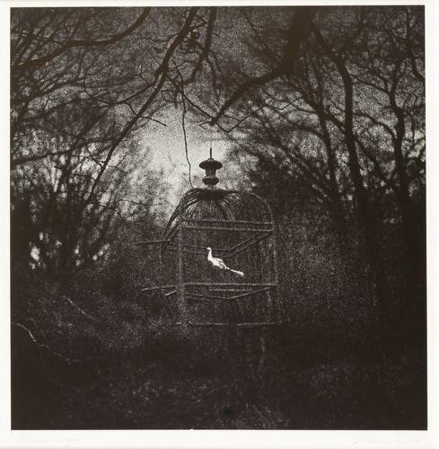 Lindner, Ulrich -  -  - Märchenvogel