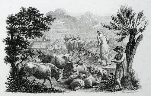 Rosmäsler, Johann August -  -  - Der Landmann (Ochsenpflug und Hütejunge)
