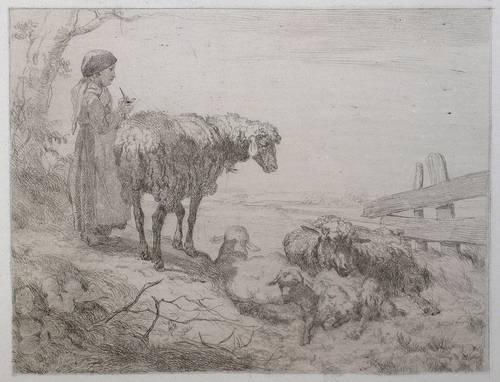 Koller, Rudolf Johann - Junge Hirtin mit Schafen - Junge Hirtin mit Schafen - 