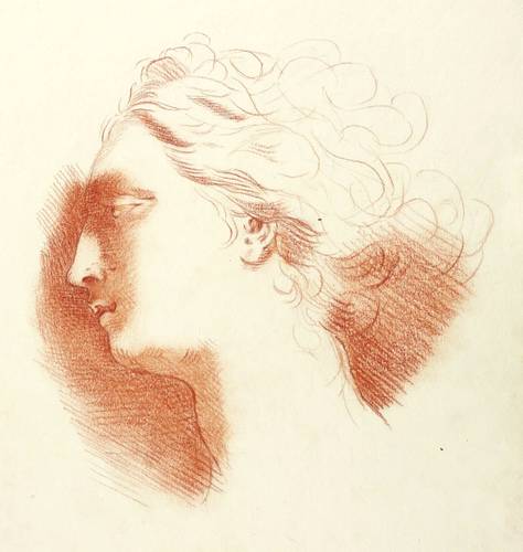 Roth, Sophie von -  -  - Weiblicher Kopf im Profil