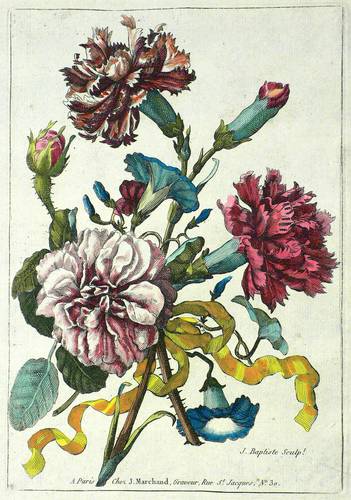 Blumenbukett - Nelken, Rosen & Winden - Nelken, Rosen & Winden - 