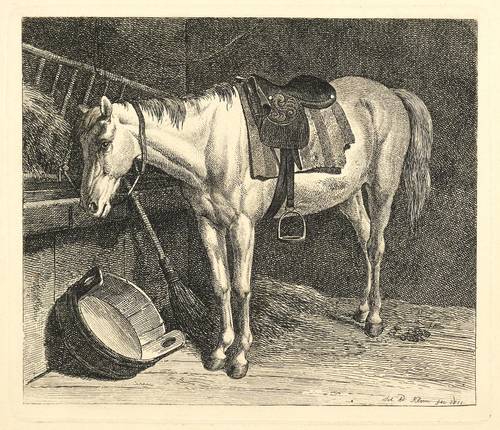 Klein, Johann Adam - Schimmel - Schimmel - Der gesattelte Schimmel im Stall