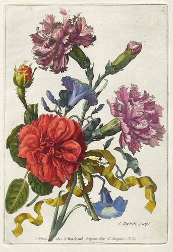 Blumenbukett - Nelken, Rosen & Winden - Nelken, Rosen & Winden - 