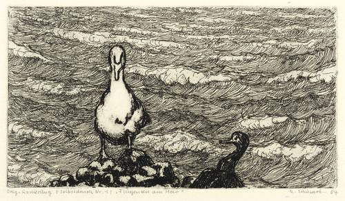 Schubert, Renate -  -  - Flugenten am Meer