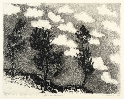 Schubert, Renate -  -  - Kiefern am Steilhang