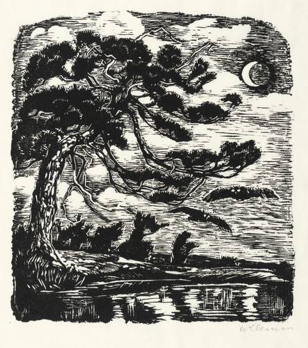 Klemm, Walther -  -  - Nächtlicher Eulenflug am Wasser