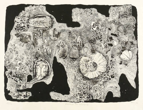 Mörstedt, Alfred Traugott -  -  - Fauna im Gestein