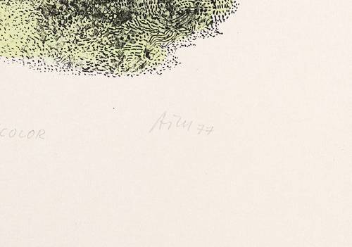 Mörstedt, Alfred Traugott -  -  - Das Waldwunder Bicolor