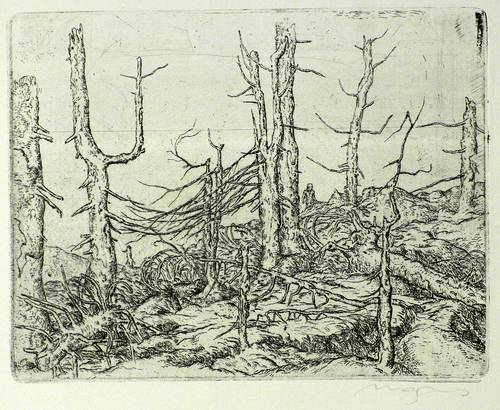 Magnus, Klaus -  -  - Im Riesengebirge