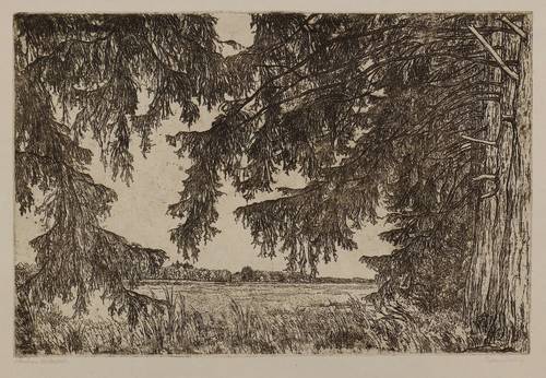 Steiniger, Ferdinand -  -  - Abend am Waldesteich