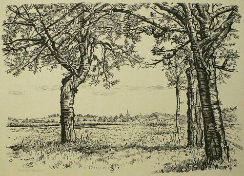 Schäfer, Karl Erich -  -  - Wiesenaue mit Obstbäumen