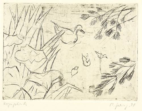 Sperling, Margot -  -  - Enten am Ufer