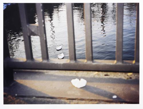 Wilks, Stephen -  -  - Berlin Friedrichshain