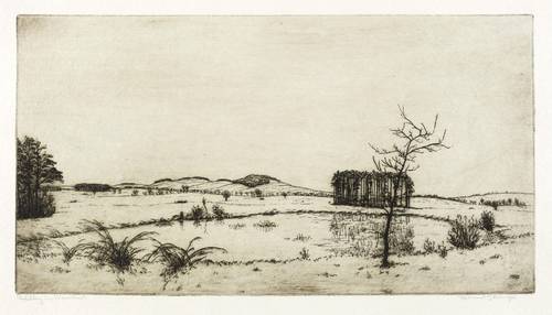 Steiniger, Ferdinand -  -  - Vorfrühling im Wiesenland