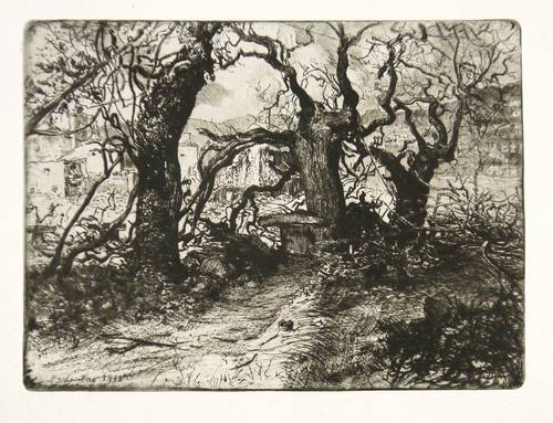 Michalek, Ludwig -  -  - Zerstörter Garten in Salcano