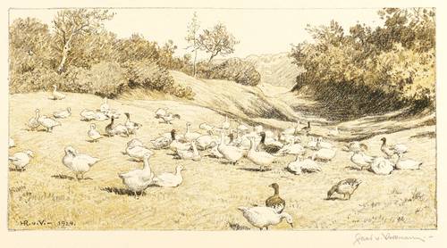 Volkmann, Hans Richard von -  -  - Gänseherde