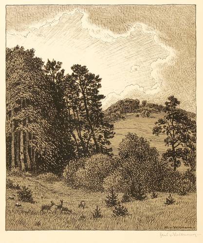 Volkmann, Hans Richard von -  -  - Waldecke II