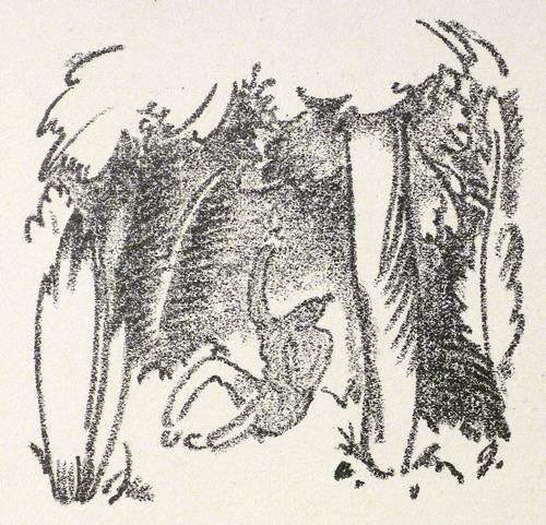 Geiger, Willi -  -  - Krieger im Wald