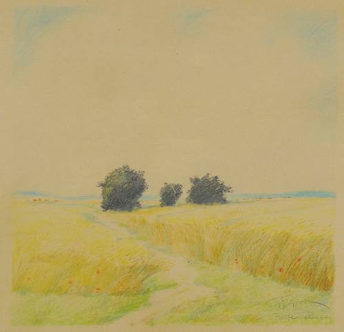 Groß, Paul -  -  - Reife Felder
