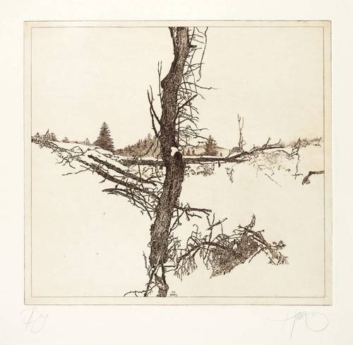 Herzog, Walter -  -  - Berg