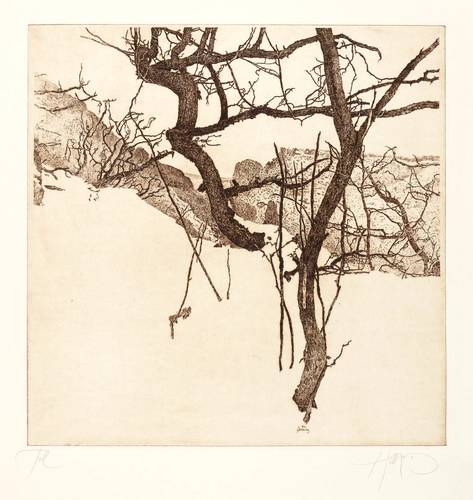 Herzog, Walter -  -  - Tal