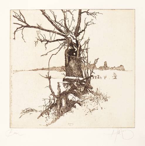 Herzog, Walter -  -  - Baum
