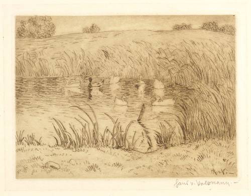 Volkmann, Hans Richard von -  -  - Der Entenpfuhl