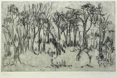 Walther-Schönherr, Jutta -  -  - Waldrand