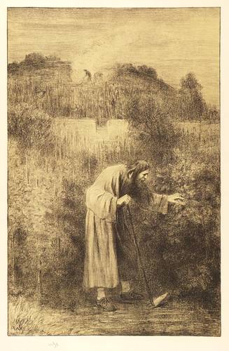 Steinhausen, Wilhelm -  -  - Klostergärtner