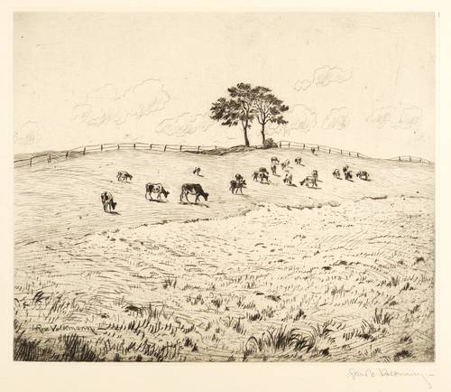 Volkmann, Hans Richard von -  -  - Kühe auf der Weide