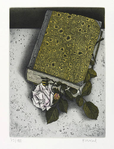 Kressel, Diether -  -  - Das Stillschweigen der Rose