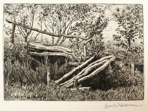 Volkmann, Hans Richard von -  -  - Verwachsener Steg