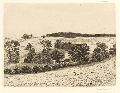 Volkmann, Hans Richard von -  -  - Büsche und Bäume