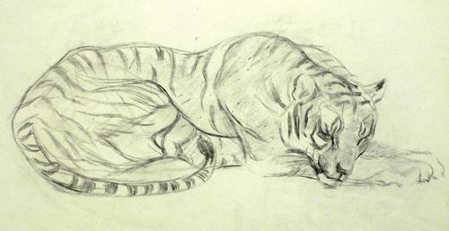 Kutzer, Heinrich -  -  - Ruhender Tiger