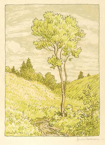 Volkmann, Hans Richard von -  -  - Am Wiesenbächl