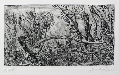 Richter, Günter -  -  - Unterholz