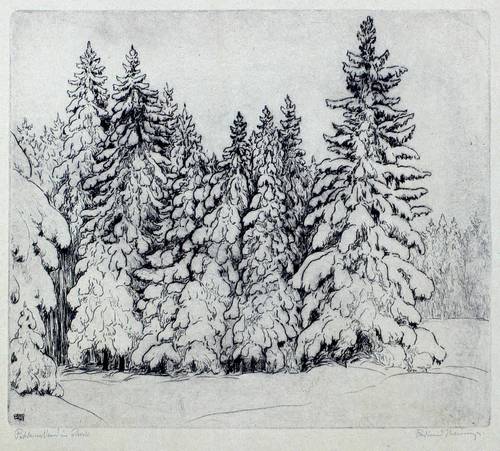 Steiniger, Ferdinand -  -  - Fichtenwald im Schnee