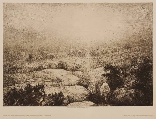 Robinson, John Charles -  -  - Sonne und Nebel (Swanage down)