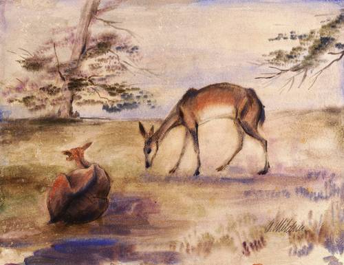 Mildner, Albin -  -  - Zwei Rehe