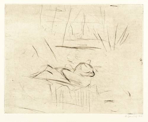 Grzimek, Sabina -  -  - Katze vor Fensterausblick