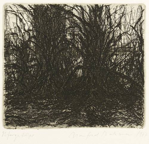 Butzmann, Manfred -  -  - Ufergestrüpp