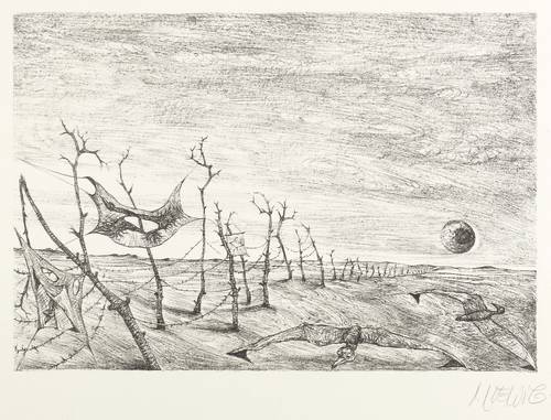 Loewig, Roger -  -  - Flugbilder für die Wolken